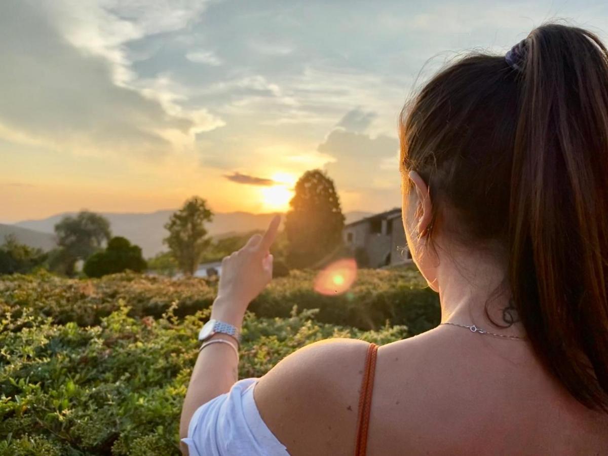 Agriturismo Le Case Ассизи Экстерьер фото