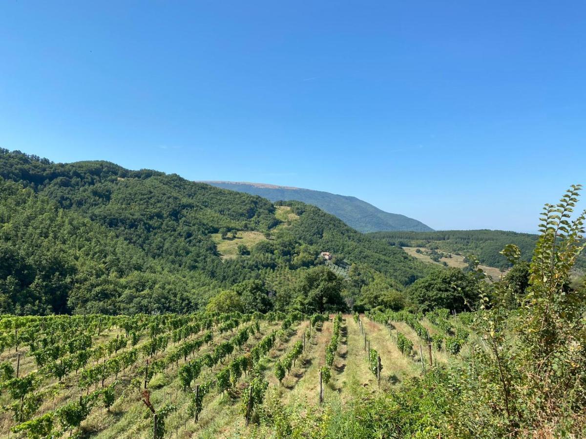 Agriturismo Le Case Ассизи Экстерьер фото