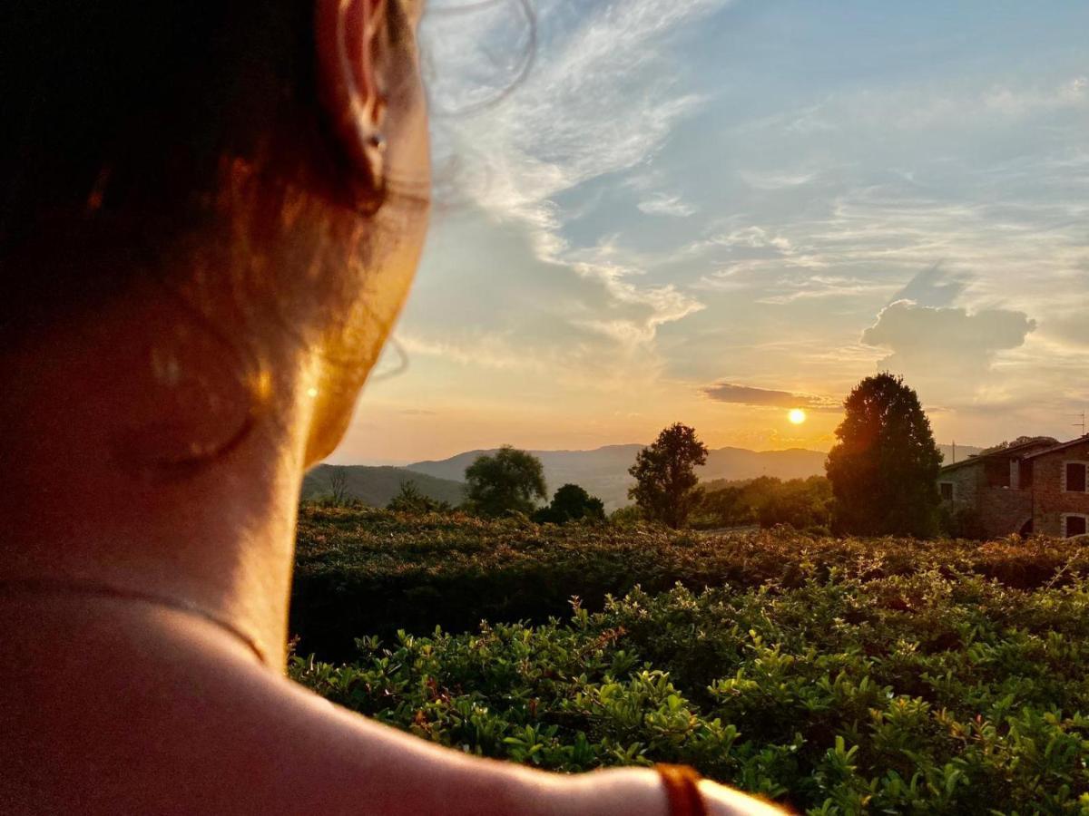 Agriturismo Le Case Ассизи Экстерьер фото